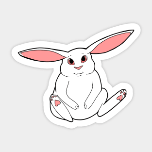 Albino Rabbit Sticker